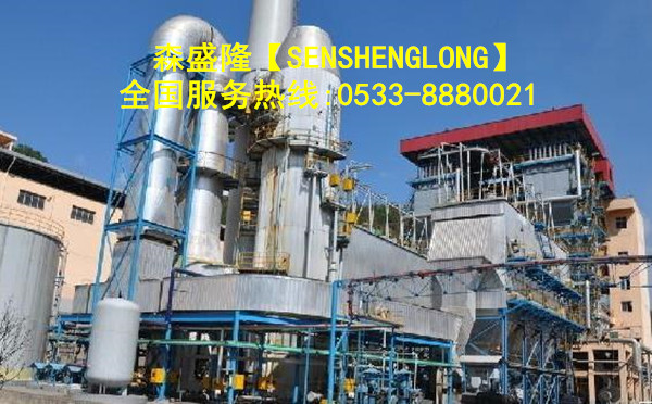 鍋爐除垢劑SZ818高效型