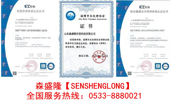 速效除垢劑大型鍋爐應(yīng)用